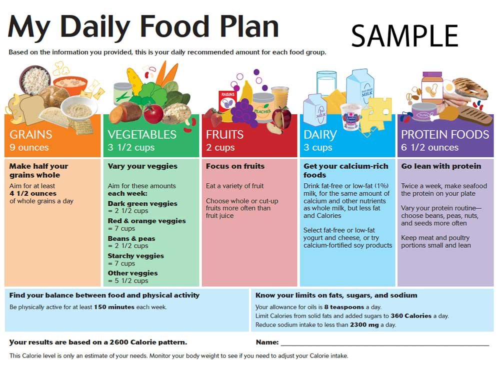 My Daily Food Plan - Healthy Diet Plan