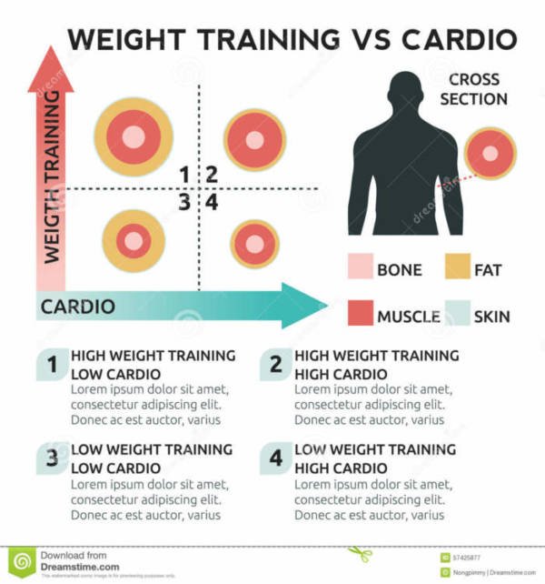 weight training vs cardio illustration chart